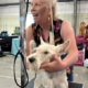Charlie giving us grooming tips for Yin (Bilbo) at the Plum Creek Classics.